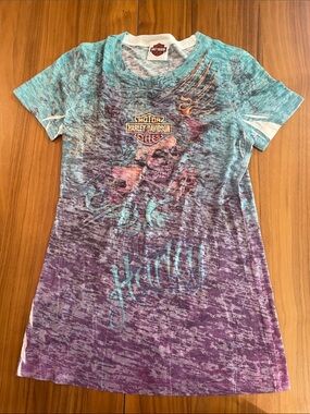 Harley-Davidson vintage distressed Teal & Purple y2k woman’s Graphic Tee